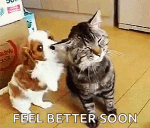 Cute Puppy GIF - Cute Puppy Funny - Discover & Share GIFs