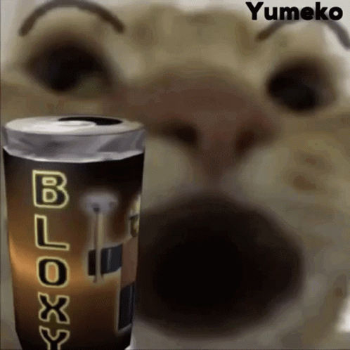 Bloxy Cola Cat Meme