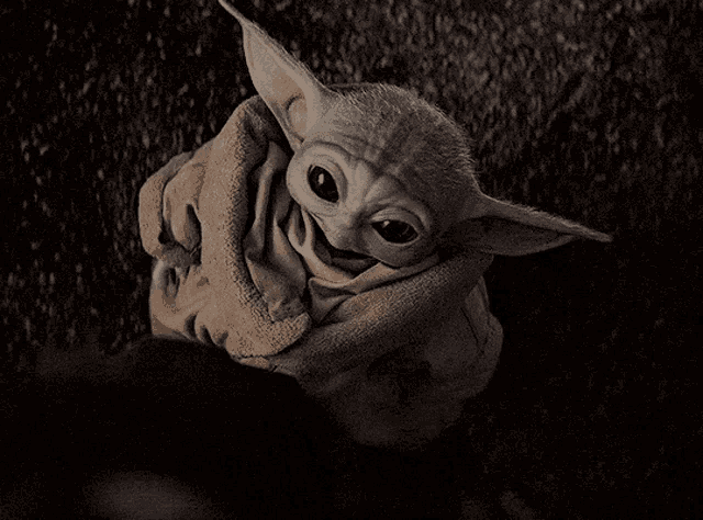 Baby Yoda May The Force Be With You Gif Babyyoda Maytheforcebewithyou Starwars Discover Share Gifs Baby Yoda May The Force Be With You Gif Babyyoda Maytheforcebewithyou Starwars Discover Share Gifs