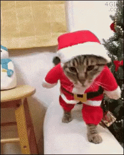 メリークリスマス 猫 ネコ ねこ Gif Jpchristmas Cat Neko Discover Share Gifs