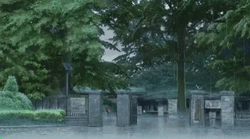 Aesthetic Anime GIF - Aesthetic Anime Raining - Discover ...