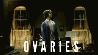 https://media1.tenor.com/images/4391a19db1e584ee54b4e9ea6ecd006c/tenor.gif?itemid=5928093