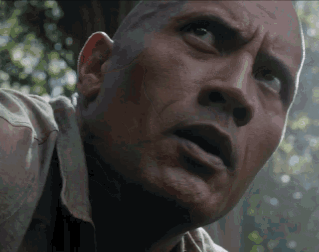 picture Raised Eyebrow Gif the rock eyebrow raise gifs tenor