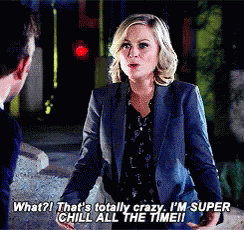 Image result for leslie knope super chill animated gif