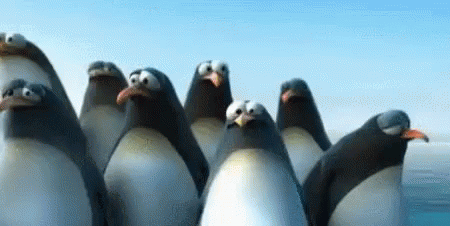 Penguin Teamwork GIF - BestTeam Teamwork Penguins - Discover & Share GIFs