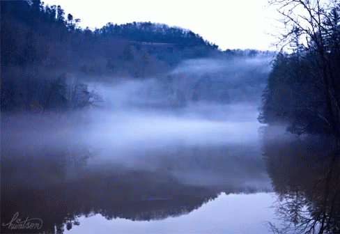 foggy nature gif foggy
