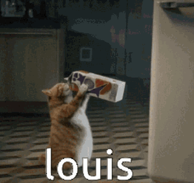 Cat Drinking GIF Cat Drinking Milk Discover & Share GIFs