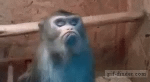 tenor.gif?itemid=11360757