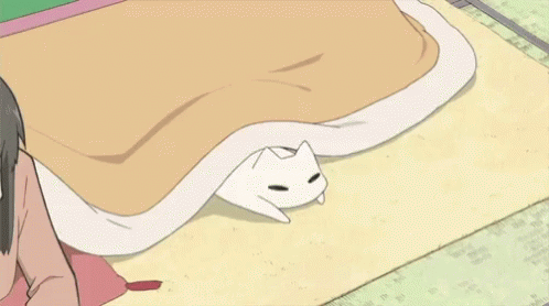 Anime Cat GIFs | Tenor