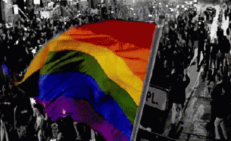 LGBT Flag GIF - Pride Gay Marriage GIFs