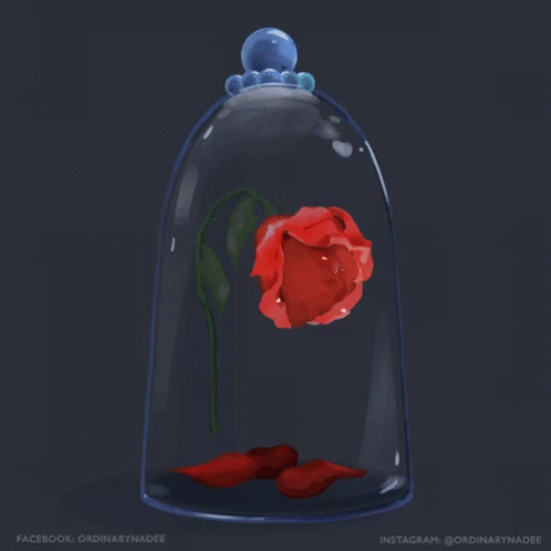 Rose Beautyandthebeast GIF - Rose Beautyandthebeast Petals - Discover &  Share GIFs