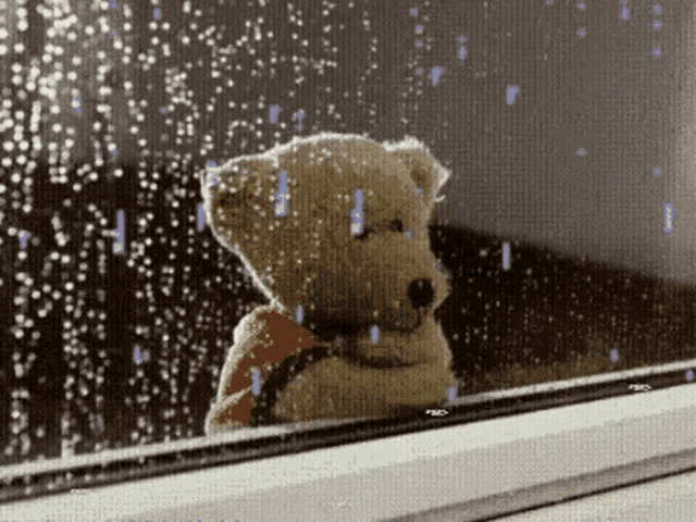 teddy bear looking