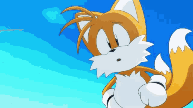 Sonic/Tails Flying GIF
