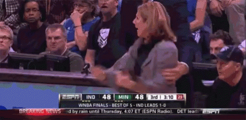 Minnesota Lynx GIF Minnesota Lynx GIF