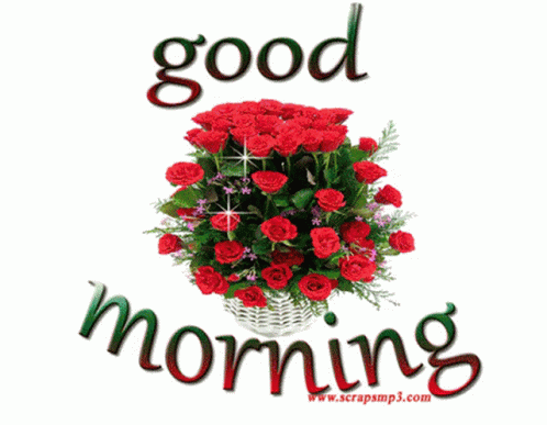 Good Morning Rose GIF - GoodMorning Morning Rose - Discover & Share GIFs