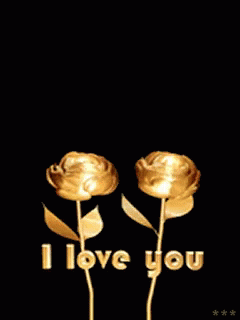 Ilove You Flowers Gif Iloveyou Flowers Bloom Discover Share Gifs