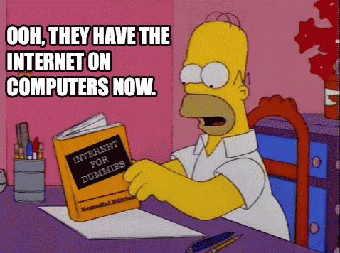animated cartoon of Homer Simpson reading Internet for Dummies with the caption: Ooh, they have the internet on computers now.