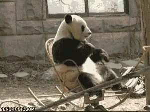 Image result for rocking chair gif