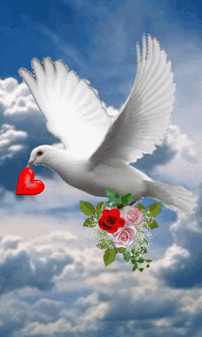 Peace Dove Gif Peace Dove Heart Discover Share Gifs