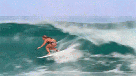 Resultado de imagem para gif surfista