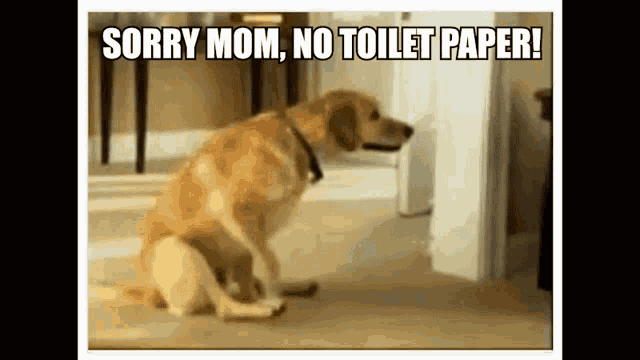 Image result for people fighting over toilet paper gif