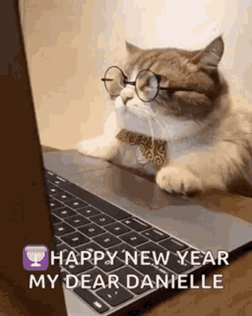 Business Cat Working GIF - BusinessCat Working Cat - Discover & Share GIFs