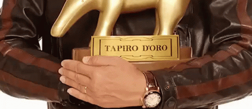 Tapiro Tapiro D'Oro Striscia La Notizia Valerio Staffelli Figuraccia Figura Di Merda Brutta Figura GIF - Ridicolo Idiota Cretino GIFs