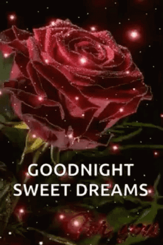 Good Night Sweet Dreams GIF - GoodNight Night SweetDreams - Discover ...
