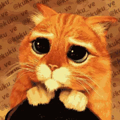 Cute Cat BBMDP GIF - Cute Cat GooglyEyes - Discover 