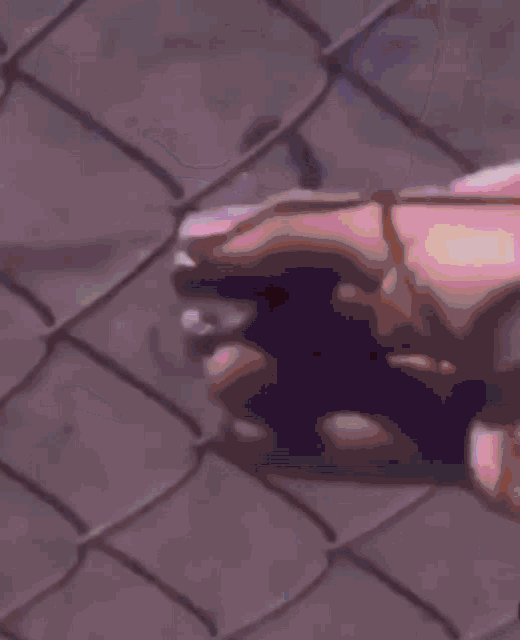 tenor.gif?itemid=16498315