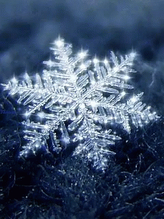 Snowflake Snowing GIF - Snowflake Snow Snowing - Discover & Share GIFs