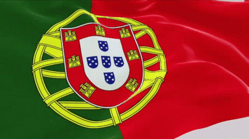 Portugal Bandeira Portugal GIF - Portugal BandeiraPortugal BandeiraNacional  - Discover & Share GIFs