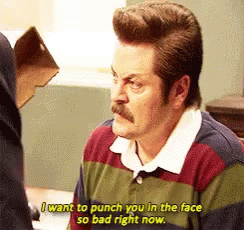 ron swanson iwant to punch you in the face so bad right now gif