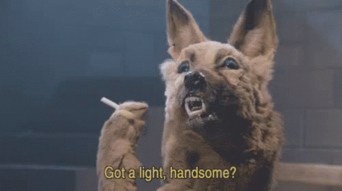 tenor.gif?itemid=4991517