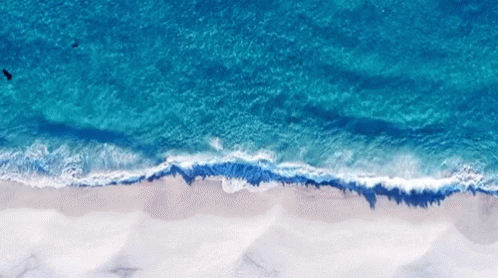 National Beach Day Waves GIF - NationalBeachDay Waves BeachDay ...