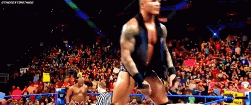Image result for randy orton gifs 2018