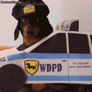 Dog Police GIF - Dog Police Dogchase - Discover & Share GIFs