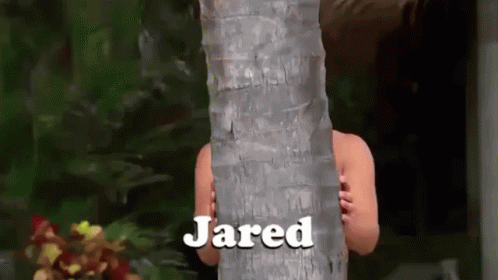 Jared Bachelor GIF - Jared Bachelor Paradise - Discover & Share GIFs
