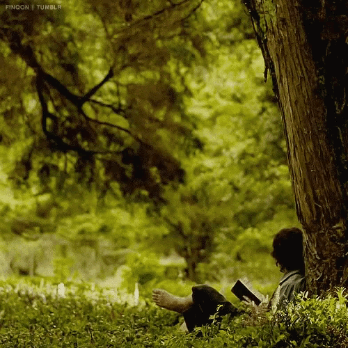 https://media1.tenor.com/images/4ef07a1a766dbaacd8b11727182f72d0/tenor.gif?itemid=12861187