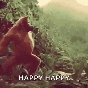 Monkey Ape GIF. Press enter to attach this image to your message. Row 1 Column 1