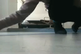 pictures to gif reddit pictures to gif reddit