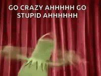 go-crazy-go-stupid-kermit-frog