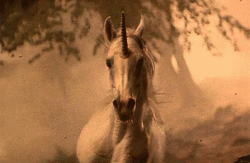 Real Unicorn GIF - Animals Unicorns Running - Descubre & Comparte GIFs