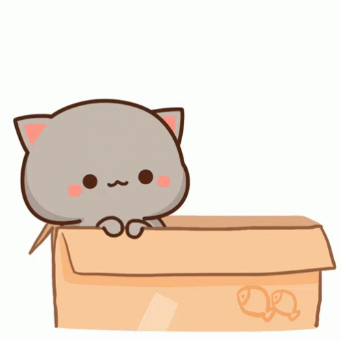 Kittens In A Box Gifs Tenor
