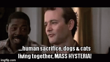 Image result for dog and cats living together mass hysteria gif