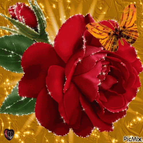 Flower Red GIF - Flower Red Rose - Discover & Share GIFs