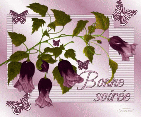 Good Evening Bonne Soiree GIF - GoodEvening BonneSoiree Flower ...