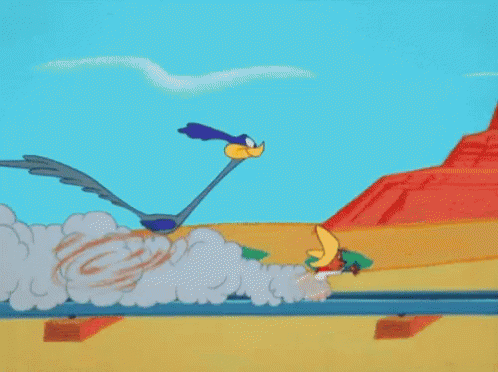 Road Runner Coyote GIF - RoadRunner Coyote WileECoyote - Discover &amp; Share GIFs