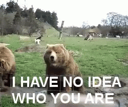 Stranger GIF - Stranger Bears Hello GIFs