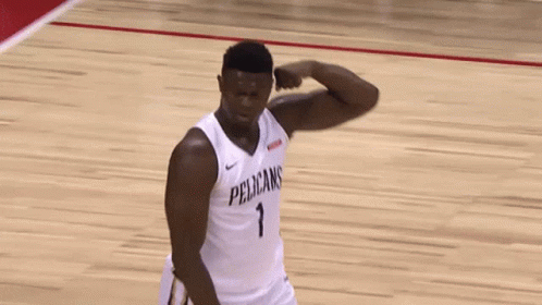 New Orleans Pelicans GIF - NewOrleans Pelicans Strong GIFs